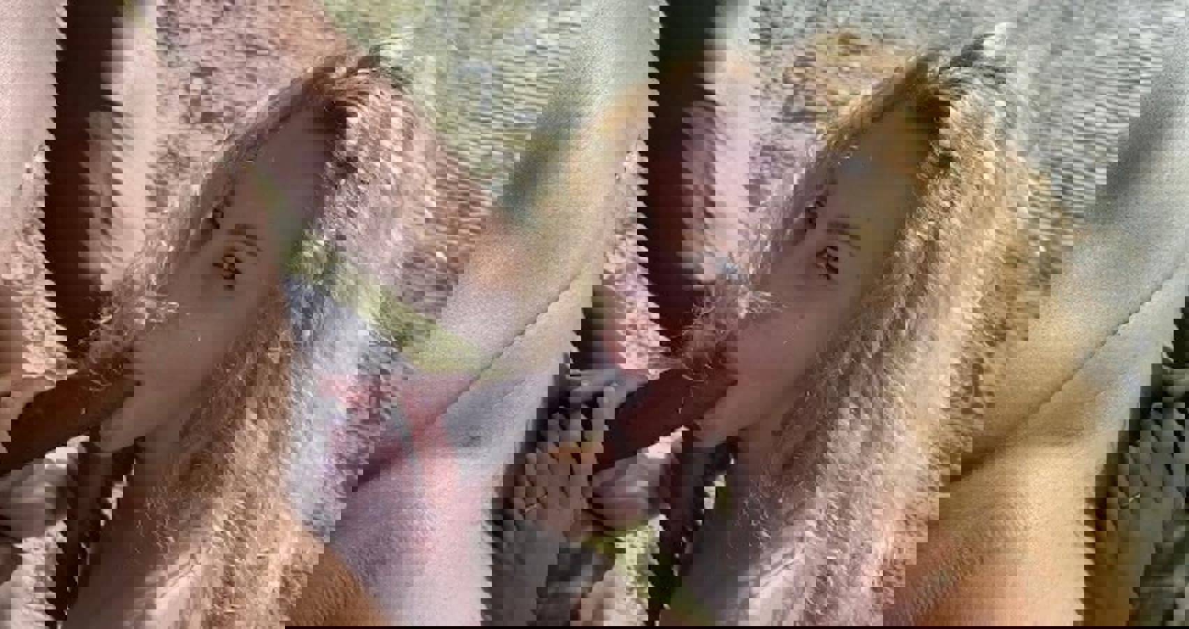 Angel Emily Leaked profile